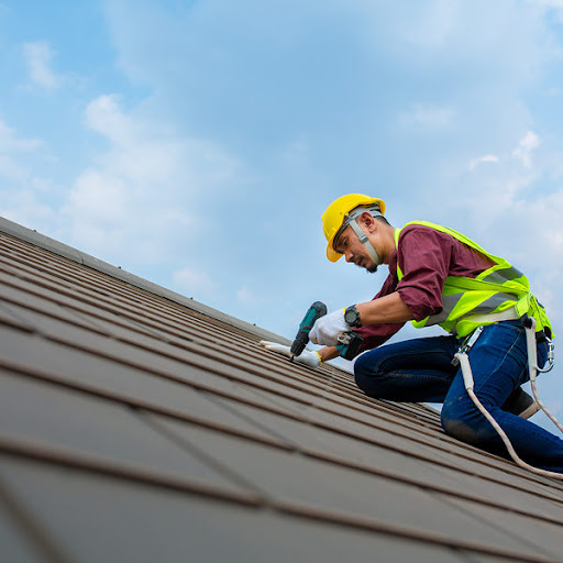 Metal Roofing Services in Willowbrook